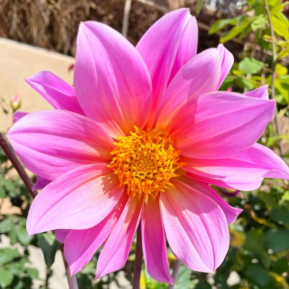 Hello! - Picture 2 of 2